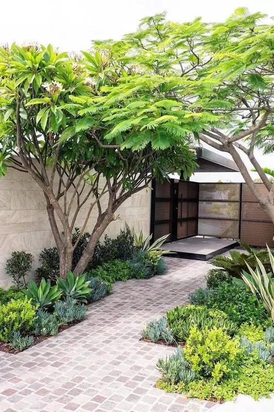 室內植物墻對環境的幾點要求 室內植物墻對環境的幾點要求